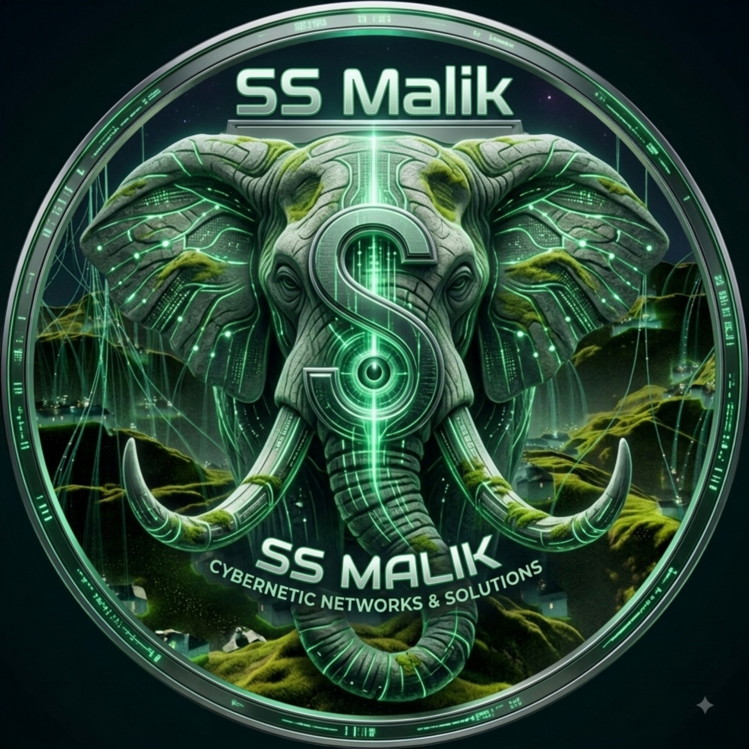SS Malik